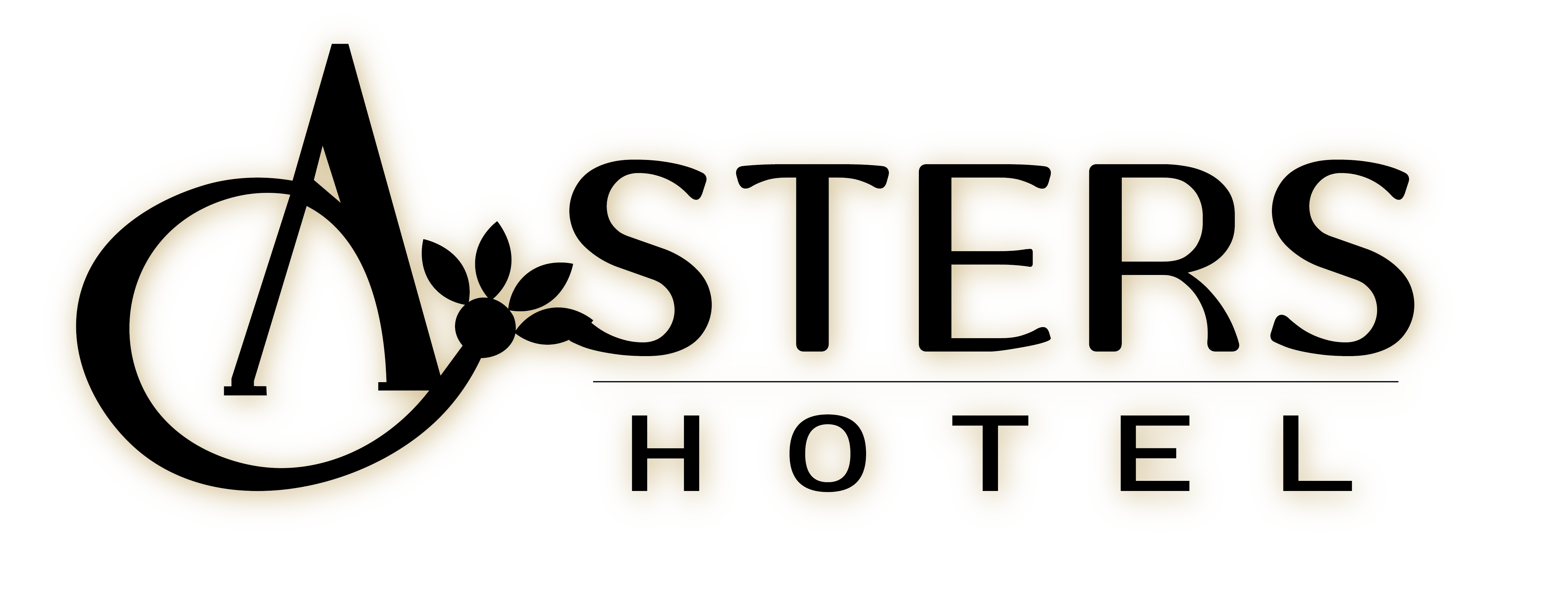Aster Hotel